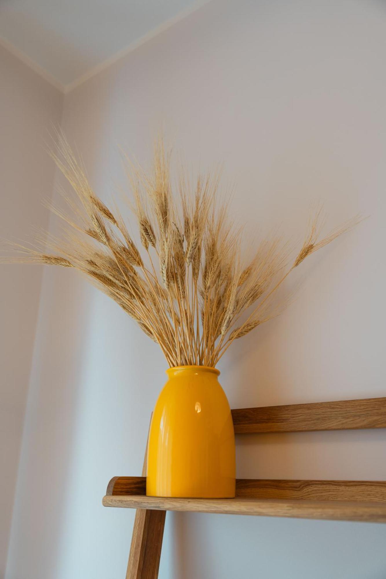 Hotel Noi 2 Nel Cilento à Agropoli Extérieur photo